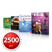 2500 8.5"x11" Flyers on 100LB Gloss Book with AQ