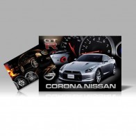 2500 4" X 6" 16PT Postcards UV on 4-color side(s)