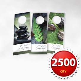 2500 Door Hanger - Color Front/Color Back (4.25"x11") 