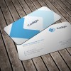  Matte Dull Finish Round Corner Business Card 2" X 3.5" 16PT