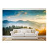 2.5 mil Wall Graphics 